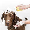 Dog Shampoo Dispenser Brush