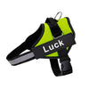 Personalised Reflective No-Pull Dog Harness (Extra 10% OFF)