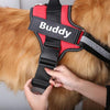 Personalised Reflective No-Pull Dog Harness (Extra 10% OFF)